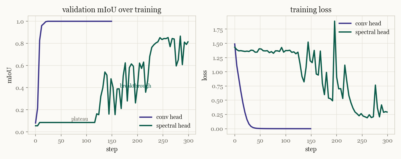 training curves, conv versus spectral head